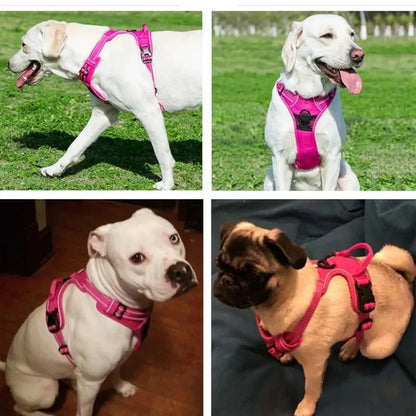 Pet Dog Breathable Harness